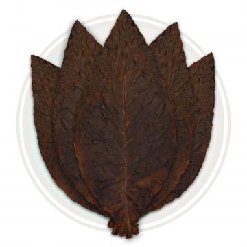 Light fire cured