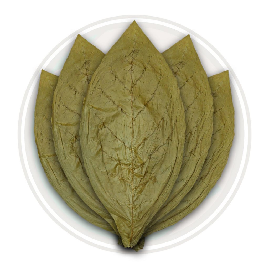 ecuadorian candela wrapper