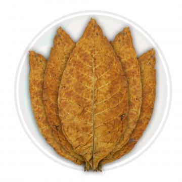 Brightleaf virgina flue cured